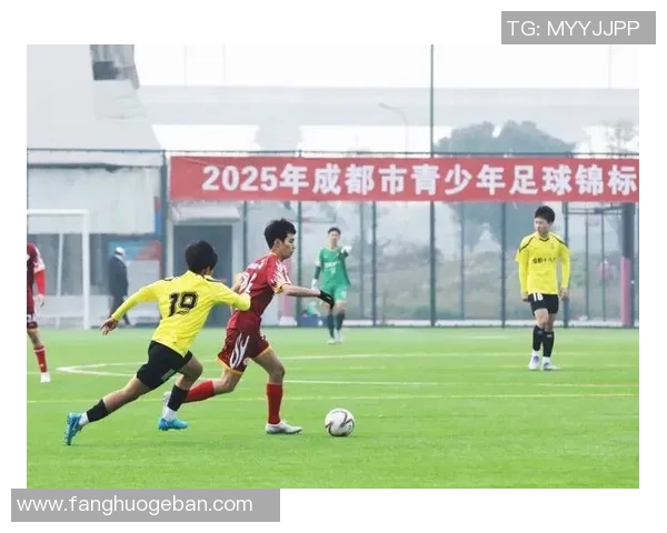 成都足球队在世界锦标赛中的技术表现分析与点评