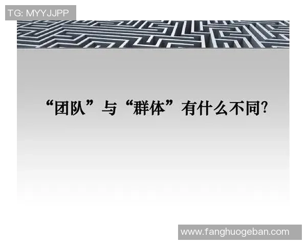 深圳排球队展现卓越团队协作能力荣登全国排球团队协作排名新高